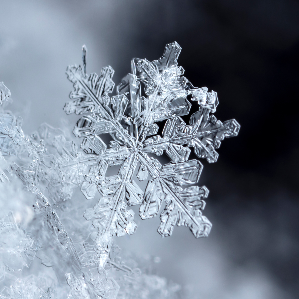 雪かき後の筋肉痛が・・・！